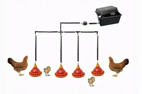 poidlo-dzwonowe-mini-dla-pisklat