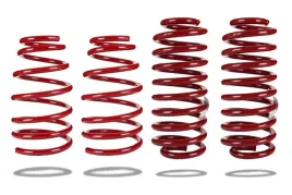 zestaw-sprezyn-obnizajacych-pedders-804005-ford-mustang-s197