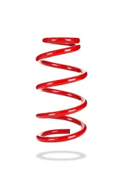 zestaw-konwersji-zawieszenia-tyl-pedders-803191-santa-fe-cm