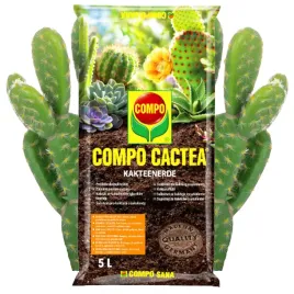 compo-sana-5-l-podloze-do-kaktusow-i-sukulentow-lekkie-i-przepuszczalne