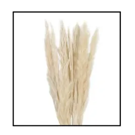 westwing-trawa-pampasowa-mace-naturalna-65-75-cm-boho-10-szt