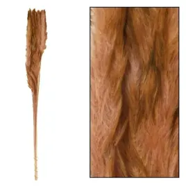 trawa-pampasowa-mace-coffe-75-cm-zestaw-10-szt-galazek-suszonej-trawy-pampa