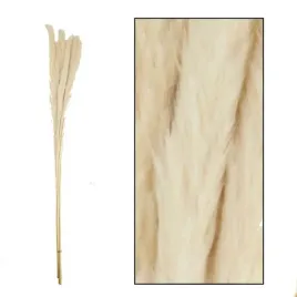 naturalna-trawa-pampasowa-jaxx-bielona-75-cm-6-szt