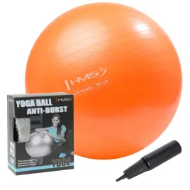pilka-gimnastyczna-rehabilitacyjna-55cm-fitness-trening-zestaw-z-pompka