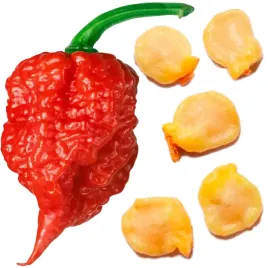 nasiona-carolina-reaper-hp22b-red-papryka-chili-najostrzejsza-na-swiecie