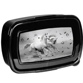 sniadaniowka-paso-750-ml