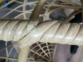 kosz-do-kokonu-wiszacego-fotela-kasos-naturalny-rattan-xl-ii-gatunek