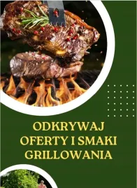 lezak-ogrodowy-duzy-fotel-lezanka-z-daszkiem-dwuosobowy-poduszki