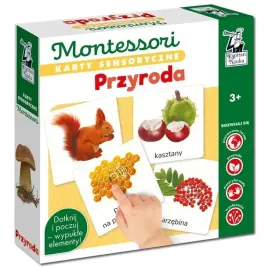 gra-planszowa-kapitan-nauka-przyroda-montessori-karty-sensoryczne