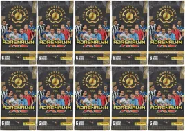 10-x-saszetka-z-6-kartami-najnowsze-2025-panini-fifa-club-world-cup-25