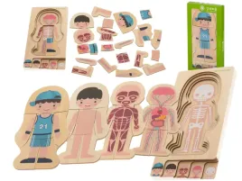 puzzle-drewniane-warstwowe-budowa-ciala-montessori-chlopiec