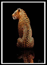 plakat-na-sciane-do-salonu-zloty-dostojny-leopard-gold-black-70x50cm
