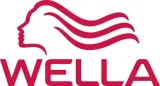 wellaflex-lakier-men-250ml-express-fix-5-marka-wella