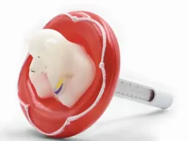 termometr-basenowy-klasyczny-gamix-mis