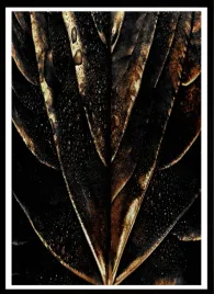 plakat-na-sciane-do-salonu-zloty-lisc-podczas-deszczu-gold-black-70x50cm