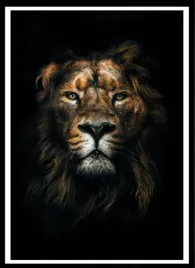 plakat-na-sciane-do-salony-dostojny-zloty-lew-gold-black-70x50cm