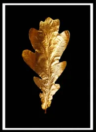 plakat-na-sciane-do-salonu-zloty-lisc-debu-czarne-tlo-gold-black-70x50cm