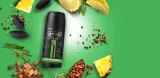 str8-new-deo-150ml-fr34k-kod-producenta-5201314145066