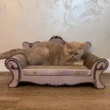 drapak-dla-kota-sofa-purlov-24285-przeznaczenie-dla-kociat-dla-kocich-rodzin