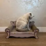 drapak-dla-kota-sofa-purlov-24285-wzor-dominujacy-inny-wzor