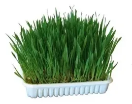 trawa-dla-gryzoni-100-g-kerbl