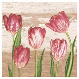 serwetki-papierowe-kwadratowe-wiosenne-tulipany-33x33-cm-20-sztuk