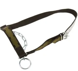 kantar-dla-bydla-z-lancuchem-profi-zielony-can-agri