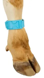 opaska-identyfikacyjna-z-tworzywa-37-cm-niebieski-kerbl