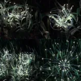 lampa-ogrodowa-solarna-dmuchawce-gardlov-25477-cechy-dodatkowe-wlacznik-wylacznik-wodoodpornosc