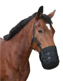 kaganiec-dla-konia-nylonowy-czarny-roz-full-covalliero