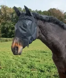 maska-przeciwowadowa-dla-konia-z-uszami-i-fredzlami-roz-cob-covalliero