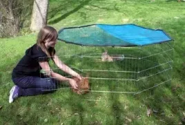 wymienna-siatka-przeciwsloneczna-do-wybiegu-kerbl