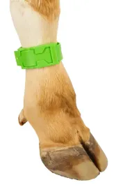 opaska-identyfikacyjna-z-tworzywa-37-cm-zielona-kerbl