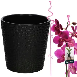zestaw-doniczka-z-podporka-donica-oslonka-czarna-ceramiczna-storczyk-o95-mm