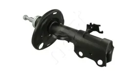 amort-p-auris-07-p-gaz
