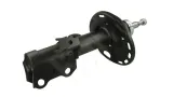 amort-p-auris-07-p-gaz-typ-samochodu-samochody-osobowe