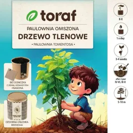 drzewo-tlenowe-paulownia-omszona-toraf-oxygen-tree-zestaw-z-doniczka