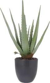 roslina-sztuczna-aloes-w-doniczce-45-cm-wysokosci-zielona-jak-zywa-ozdoba