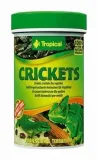 tropical-crickets-100ml-tropical