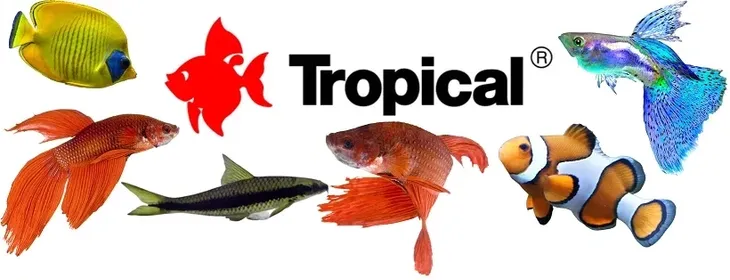 tropical-cmf-100ml-tropical-stan-nowy