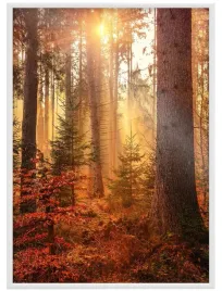 ramka-na-zdjecia-aluminiowa-70x100cm-b1-biala-rama-beznarzedziowa