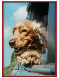 ramka-na-zdjecia-aluminiowa-60x80cm-czerwona-rama-beznarzedziowa