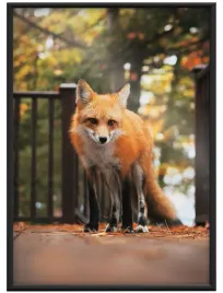 ramka-na-zdjecia-aluminiowa-21x297cm-a4-czarna-rama-beznarzedziowa