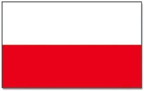 drabina-podest-platforma-robocza-91cm-do-150kg-stan-nowy