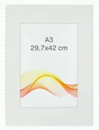 antyrama-a3-297x42-cm-antyramy-plexi-42x297cm-ramka-na-plakat