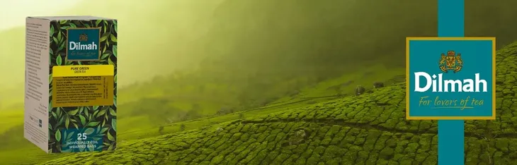 herbata-dilmah-green-tea-25-dilmah-stan-nowy