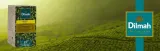 herbata-dilmah-green-tea-25-dilmah-stan-nowy