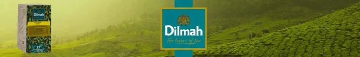 herbata-dilmah-green-tea-25-dilmah-kod-producenta-9312631852639