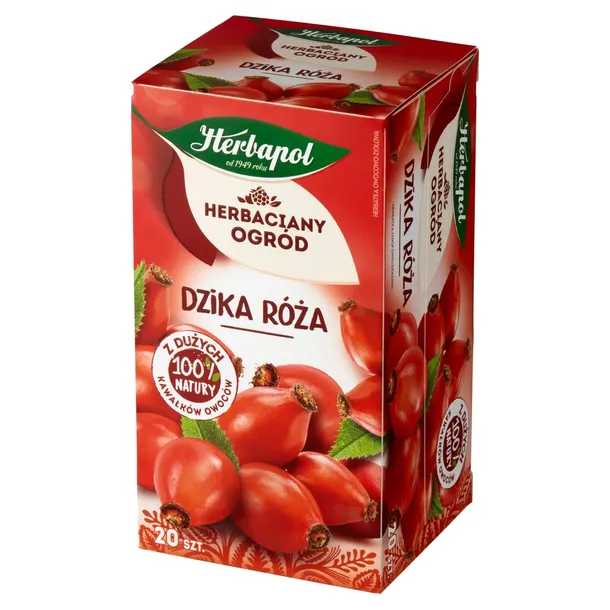 herbata-herbapol-dzika-roza-20-herbapol-forma-ekspresowa