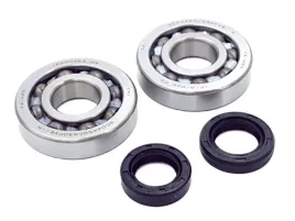 lozyska-walu-uszczelniacze-piaggio-50-sfera-storm-tph-nrg-zip-gilera-typhon